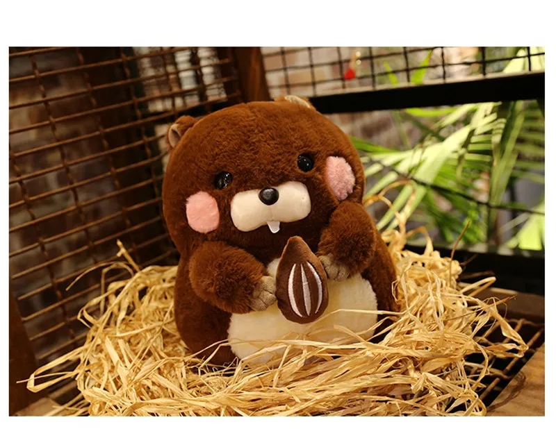 DOLLS (29)