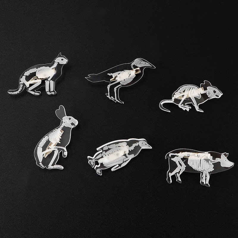 

Animal Skeleton Acrylic Pin Skull Skeleton Cat Rabbit Penguin Pig Mouse Rib White Transparent Brooch Button Badge Lapel Jewelry