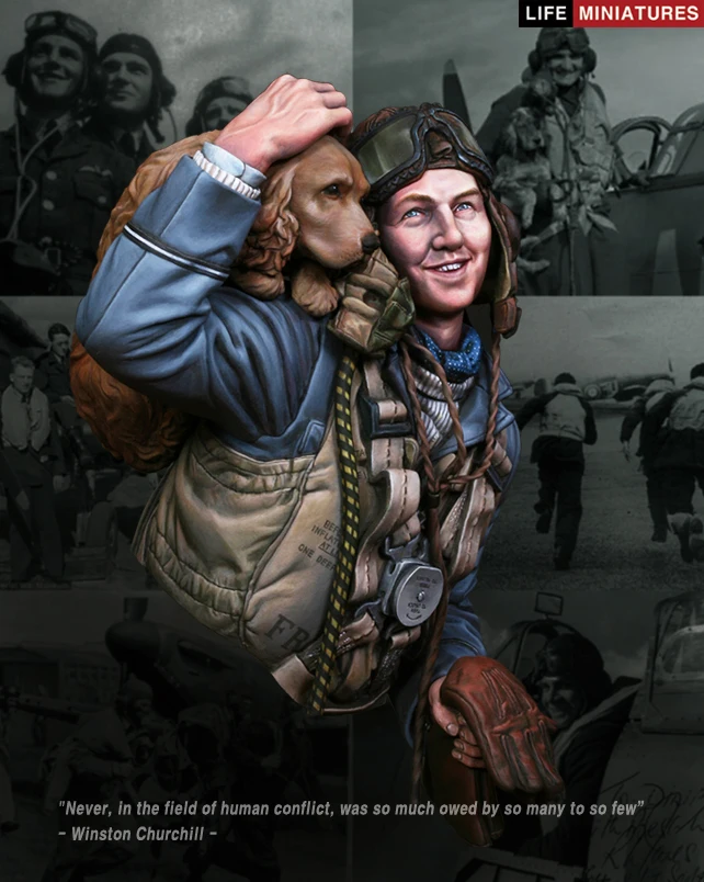 Пилот боец Рафа битва Великобритании 1940|battle|pilot |
