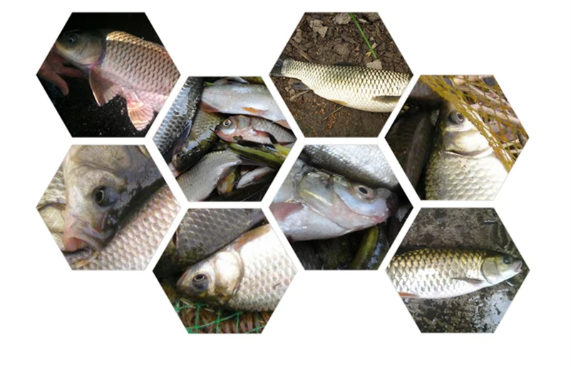 Fluxo de Fibra de Alto Vara de Pesca Pólo de Pesca Novo Carbono Telescópica Ultra Leve Ultrafino Pesca da Carpa Pólo Mão Frete Grátis 18 Varas de pescar