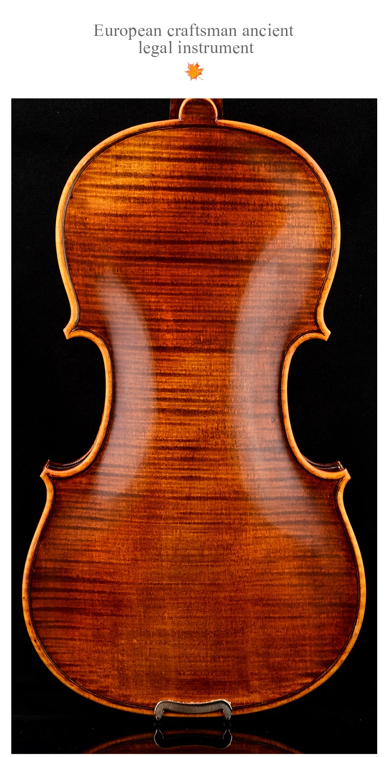 Master Violin Christina Italy V08B professional violino 4/4 high quality Spruce Maple Violin Case,rosin musical instruments