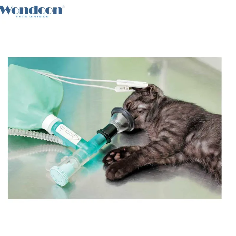 cat mask-1