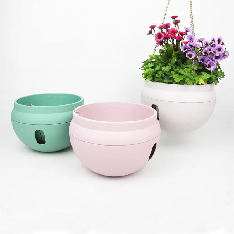 Online kaufen groÃhandel sukkulenten wand garten aus china ...