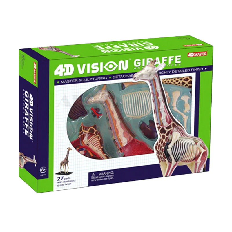 4D MASTER Authentic educational toys 4d master animal models assembled model Giraffe Anatomyin