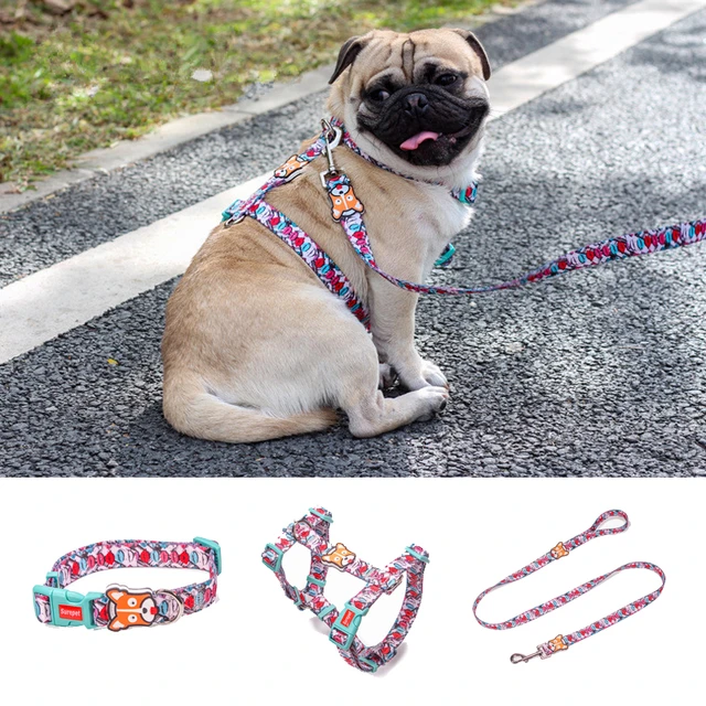  Luxury Dog Collar Leash Set Harness Designer Small and  Medium-Sized Dog Pet Collar Pug Chihuahua Adjustable Dog Collar Set Strong  Protection Safe pet Leash (Color : Harness, Size : XL) 
