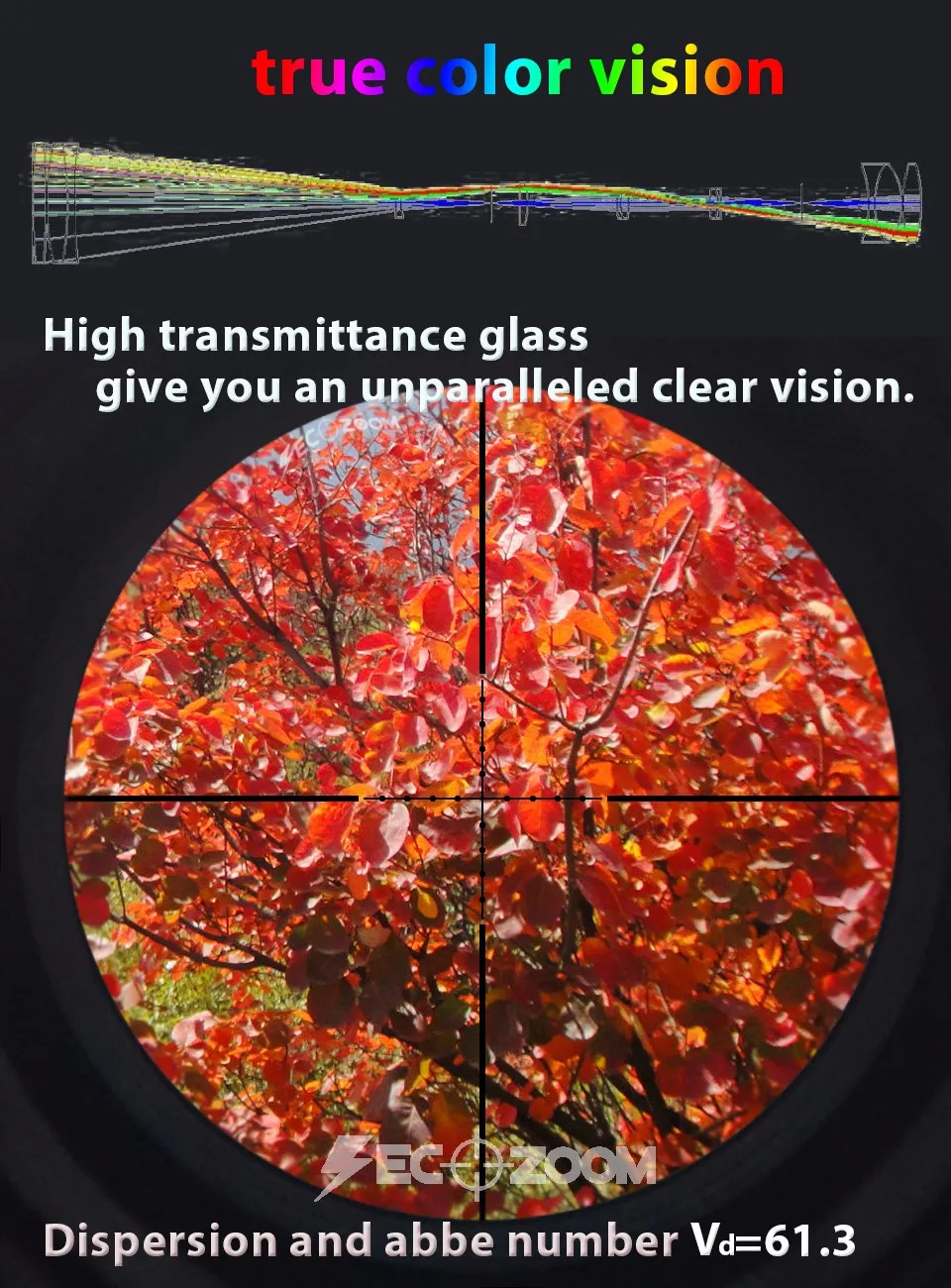 ture color vision