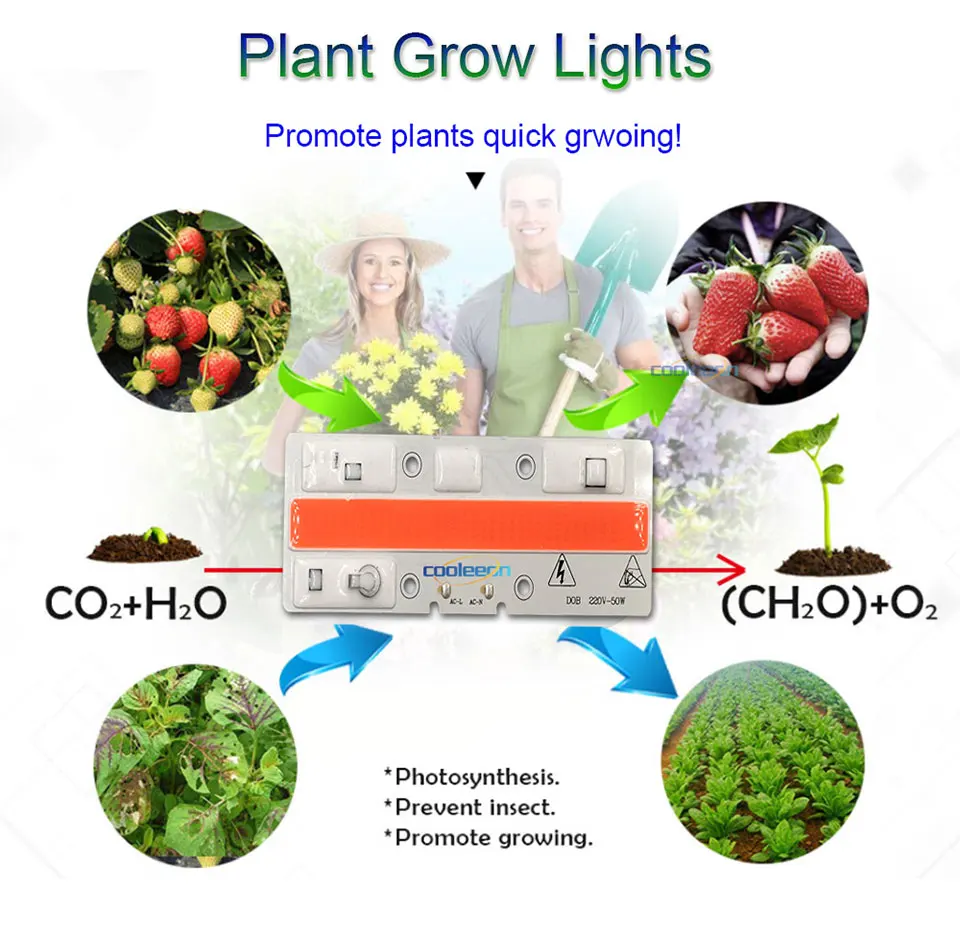 Plant Grow LED Light Bulbs COb Chip 50W 220V AC Lighting Source Full Spectrum Driverless LED Lights for Plants Growing 11040mm (1)