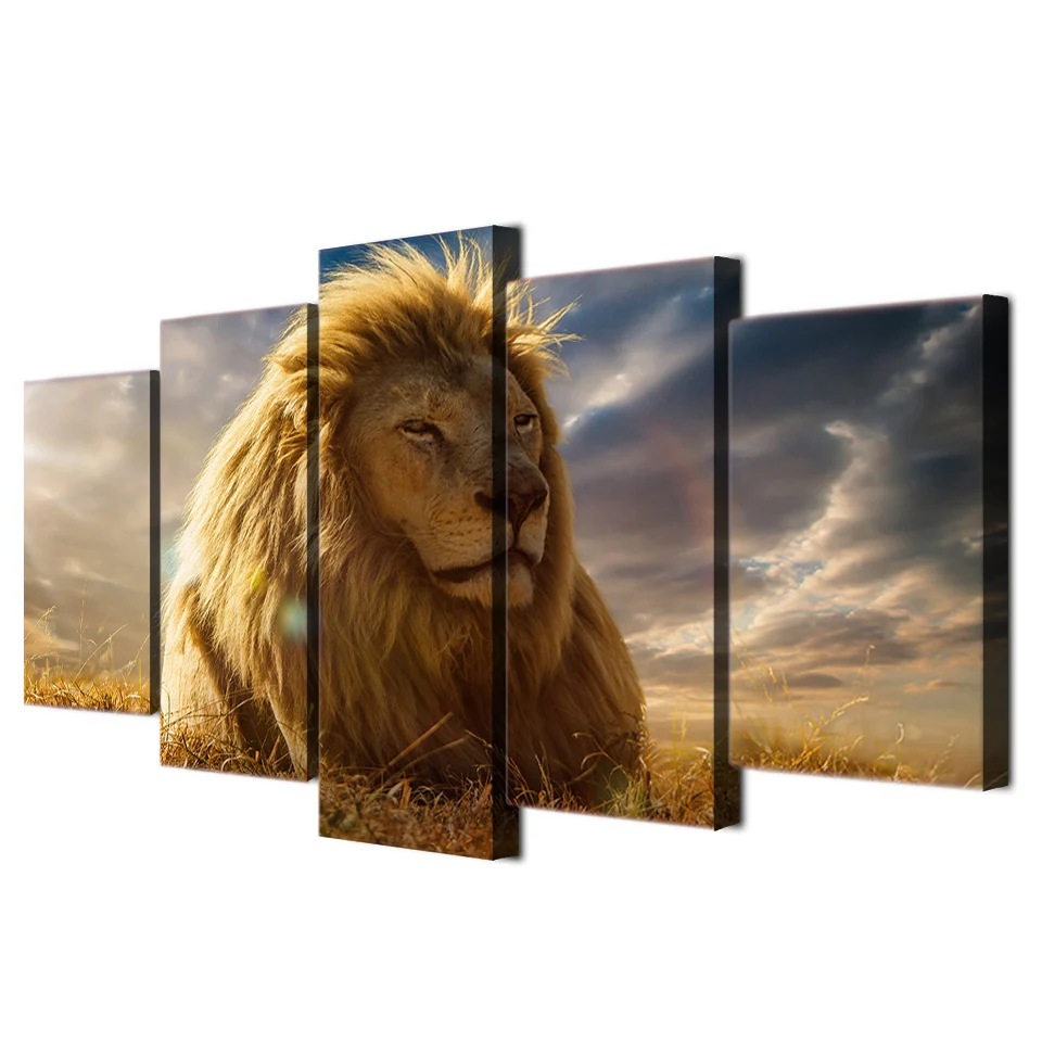 Animal lion king-3