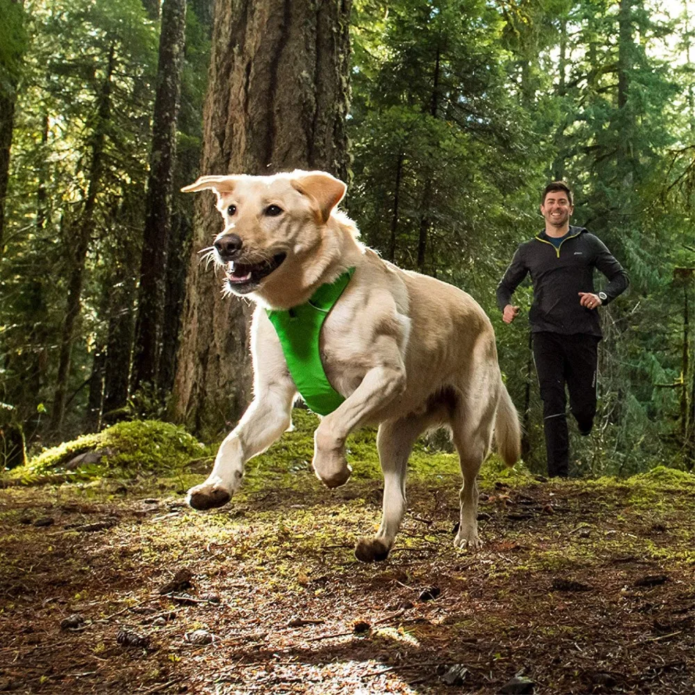 Жгут переднего диапазона RUFFWEAR|Собачьи жилеты| |