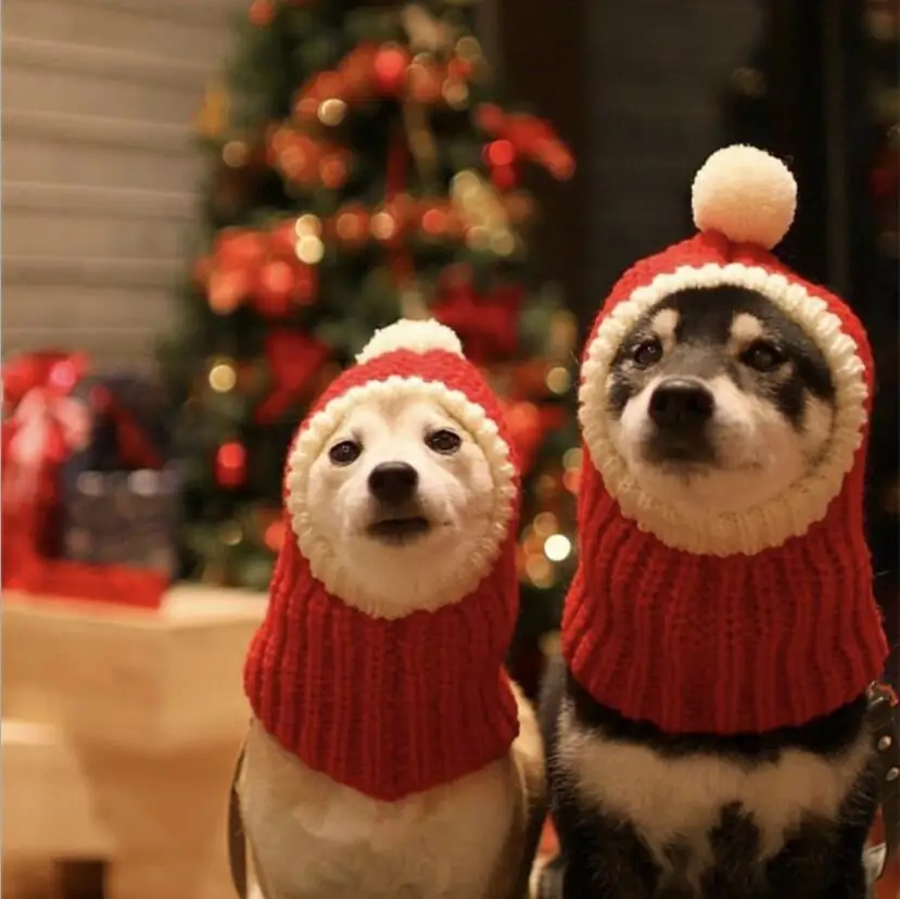 Милая зимняя для домашней собаки шляпа, Стрижка собак аксессуары для домашних животных кошки собаки шапки Рождественский костюм шапки теплые 10 шт./лот