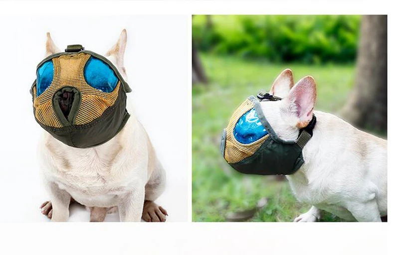 Dog Muzzle (19)
