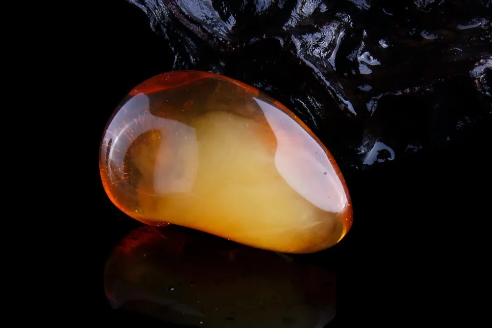 AL-22 (13)
