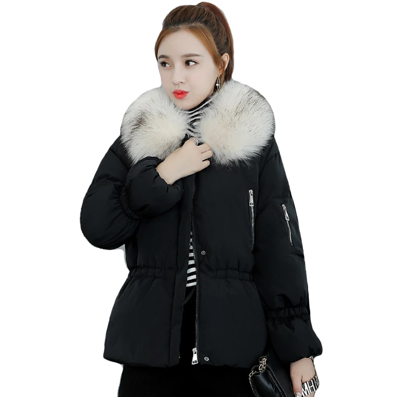

Women Winter Jacket Wirth Fur Collar Hooded 2019 New Female Coat Cotton Padded Outwear Womens Short Parka Chaqueta Mujer
