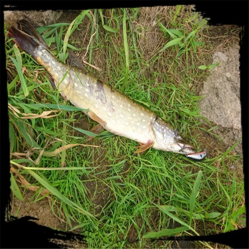 FISHINAPOT 1 шт. погружающаяся медленно рыболовная приманка 8 5 г/7 см искусственная
