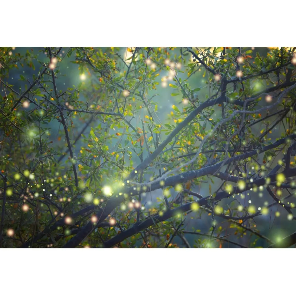 

Laeacco Dreamy Shiny Polka Dots Forest Tree Mystery Pray Scene Photo Backdrops Photographic Backgrounds Photocall Photo Studio