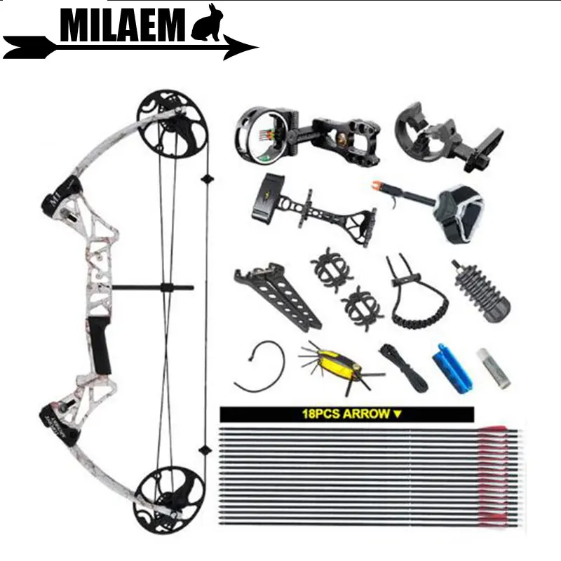 

1Set Archery M1 Compound Bow Set 19-70 lbs IBO320FPS CNC Milling Bow Riser BCY Bow String Outdoor Shooting Accessories