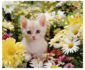 

Diy Diamond Painting Cream - LITTLE Kitten CAT FLOWERS Painting Resinstone Square Full Diamond Painting Sets Unfinish