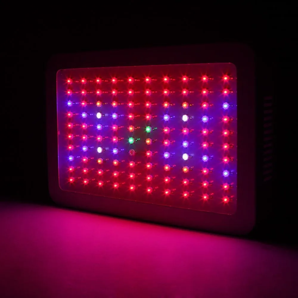 4157348972_79253061