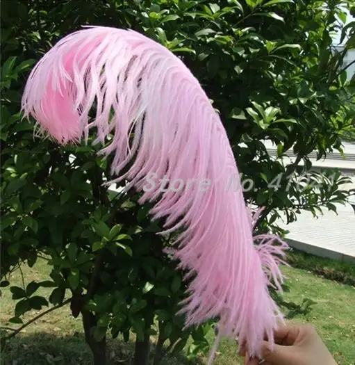 50pcs/lot Beautiful Pink Color Ostrich Feathers 20 22 Inches For Home