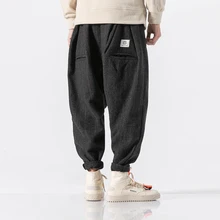 Осенние и зимние толстые шерстяные китайские стильные шаровары из материала Tide Мужские Молодежные Брюки Harlan для маленьких ног конические повседневные штаны в стиле хип-хоп
