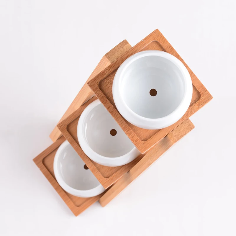 JAROWN Simulation Succulent Plant Ceramic Small Flower Pot Creative Bamboo Frame Bonsai Home Decoration Wedding Decor (14)