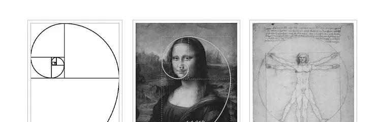 HTB1TwMNXe6sK1RjSsrbq6xbDXXae