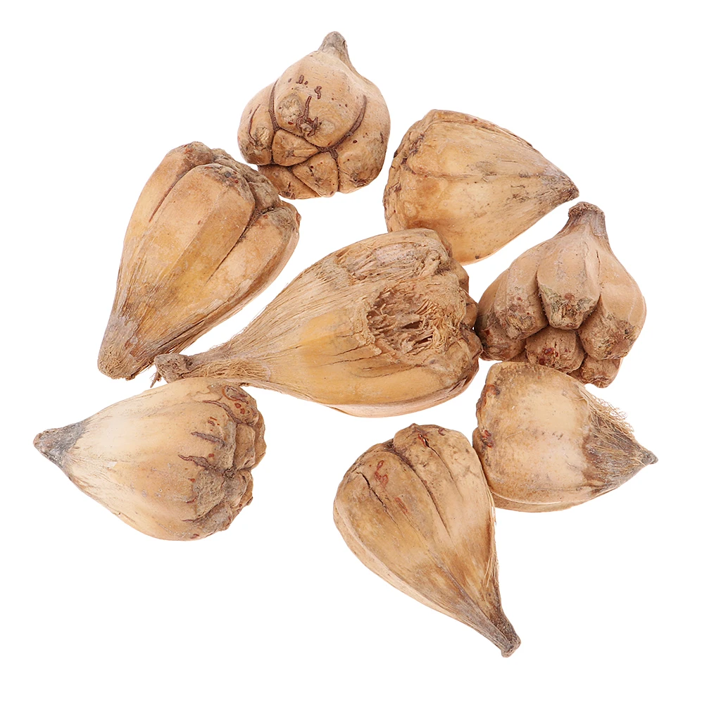 50 Pieces Mini Natural Dried Bergamot Fruit for Christmas Wedding Home Party Ornament Gift for Friend Family
