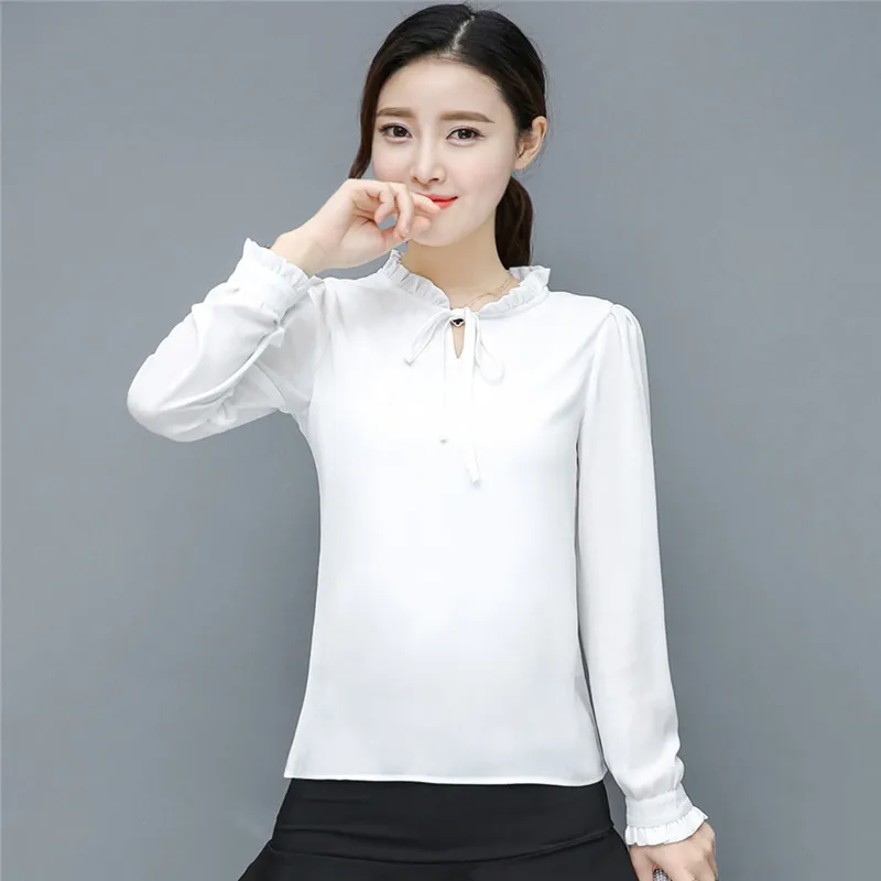 Chiffon Blouse (6)