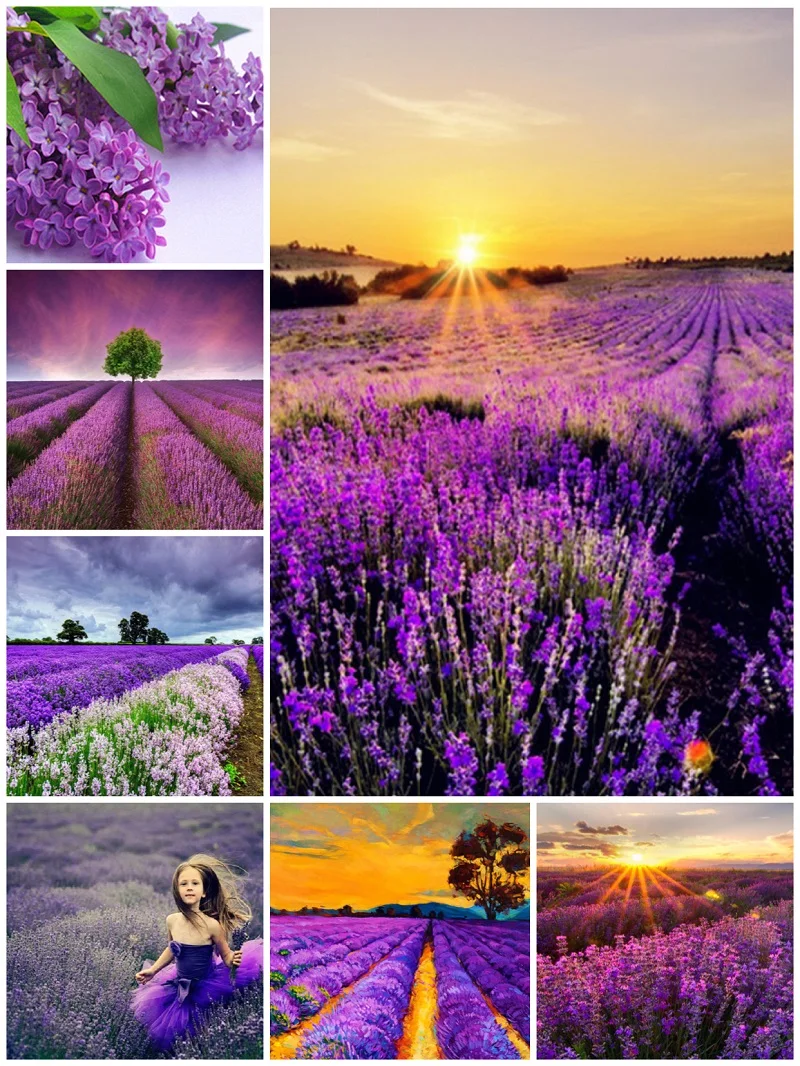 

Full Diamond Painting 5D DIY Embroidery Square Drill Lavender Gift Home Decor Arts Crafts&Sewing Needlework Cross Stitch Crpsen