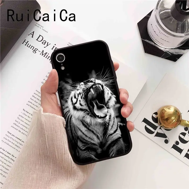 tiger fashion