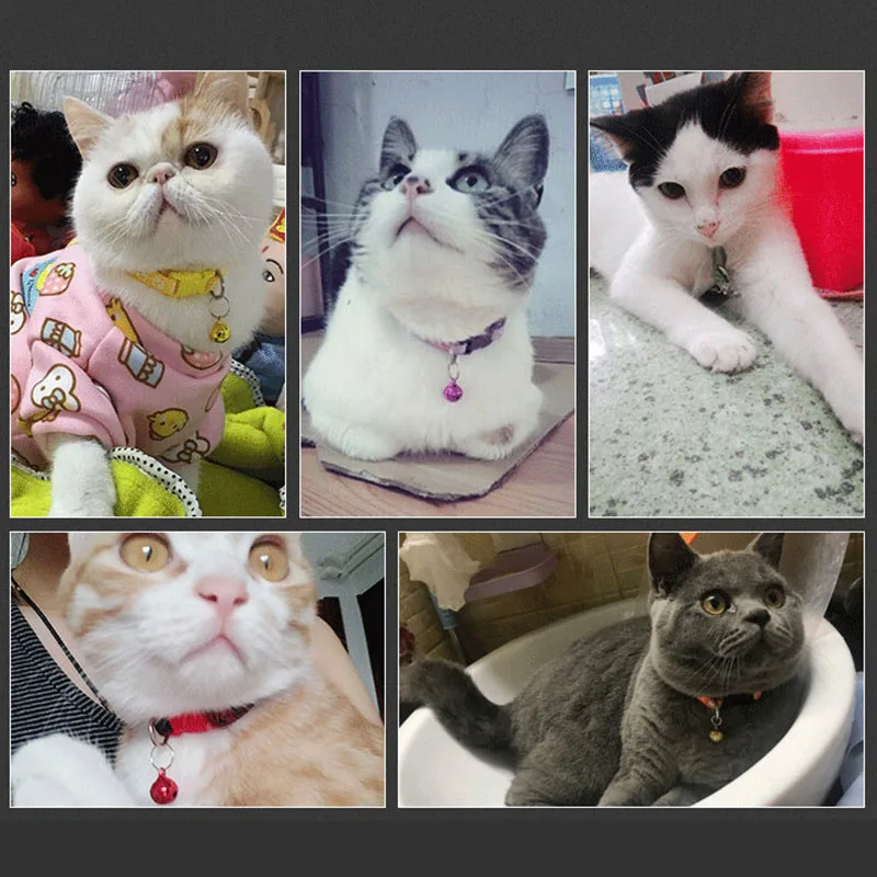 Ошейник Little Bell Cat с безопасной быстроразъемной пряжкой регулируемой для всех