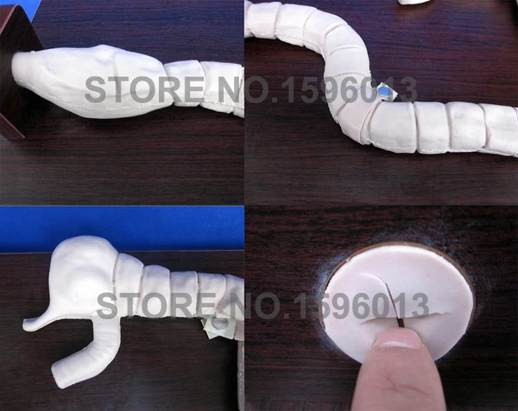 LV30y enteroscope (1)