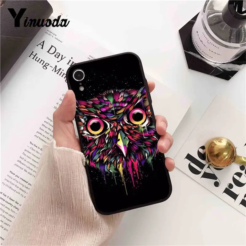Cool  Owl  Cartoon Painted