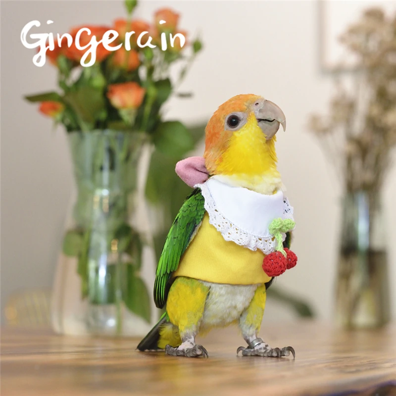 Gingerain одежда с птицами попугай одежда вишневый свитер оригинальная ручная работа на заказ одежда с птицами вишневый свитер