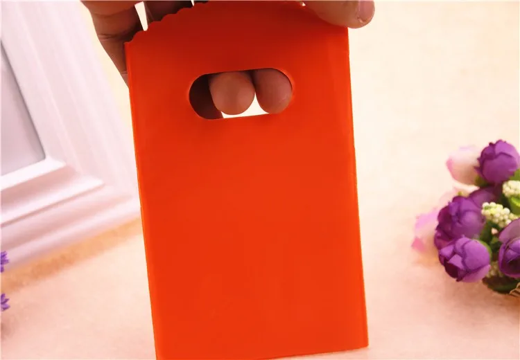 gift bag (20)