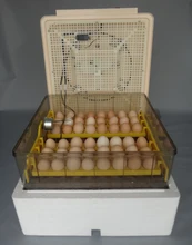 Best selling Digital Automatic Egg incubator 96 chicken egg hatching machine Turning chicken gooose quail duck poultry