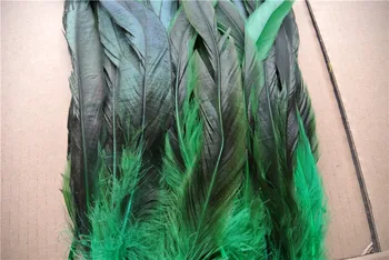 

Free Shipping 200pcs green coque tail feather loose 12-14 inch cock tail feather loose for costume decor