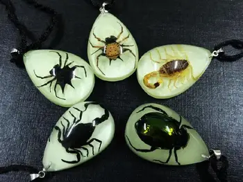 

FREE SHIPPING wholesale 15PCS REAL SPIDER SCORPION GLOW LUCITE INSECT PENDANT JEWELRY TAXIDERMY GIFT