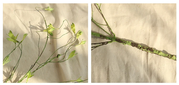 9659099565_1245478559