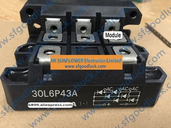 

30L6P43A Power Transistor Module