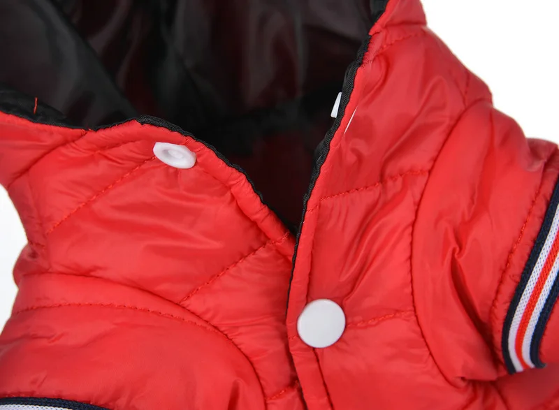 4609650313_1137454732