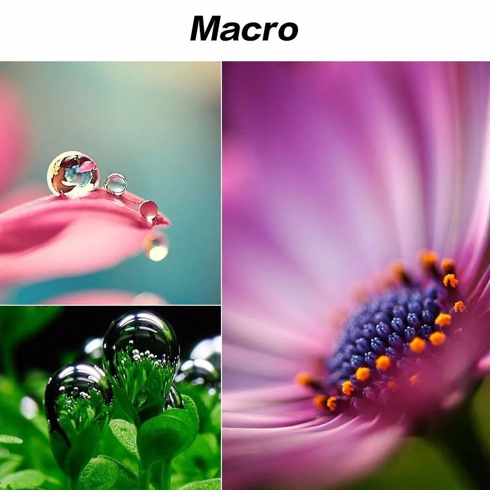 61g1x9k7x0L._SL1000_ (1)