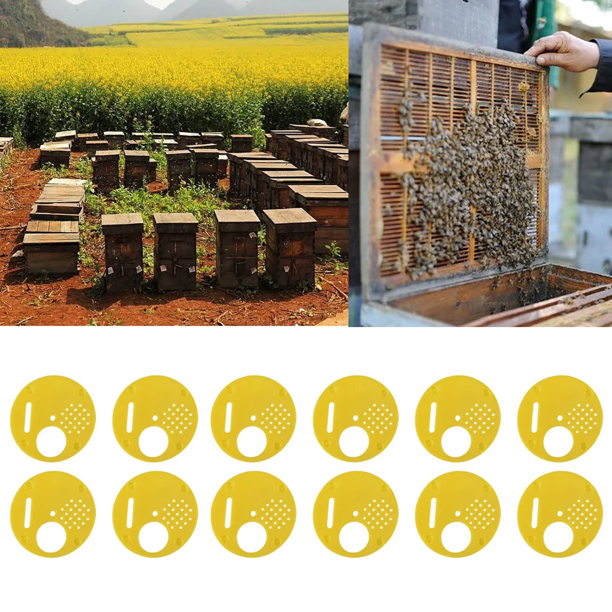 12pcs/set  New Yellow Beekeepers Bee Hive Nuc box Entrance Gates Beekeeping Equipment