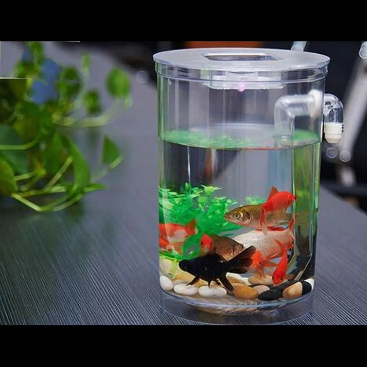 Экологический цилиндрический миниатюрный пластиковый белый аквариум Настольный Декор Рыболовные наборы с светодиодный светильник/без светодиодный светильник Прозрачный резервуар