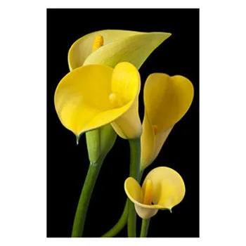 

YI BRIGHT Full Square/Round Drill DIY Diamond Painting"Calla Lily" Embroidery Cross Stitch 3D Mosaic Rhinestones Home Decor CNN