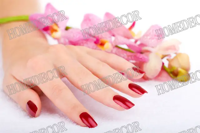 6pcs Canvas Prints Artwork Spa Botanica Treatment Nail Body Salon Modern Wall Canvas Painting Massage Room Decor