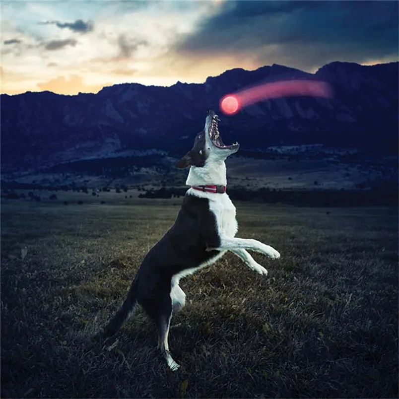 Pet Dog Toys Balls LED Glowing Streak Dog Ball Blinking Pet Toys Lights Up Supplies For Night Play New Arrival #4n09 (6)