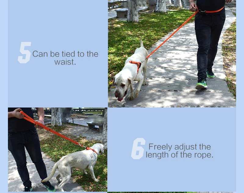 8 dog leash flexi 