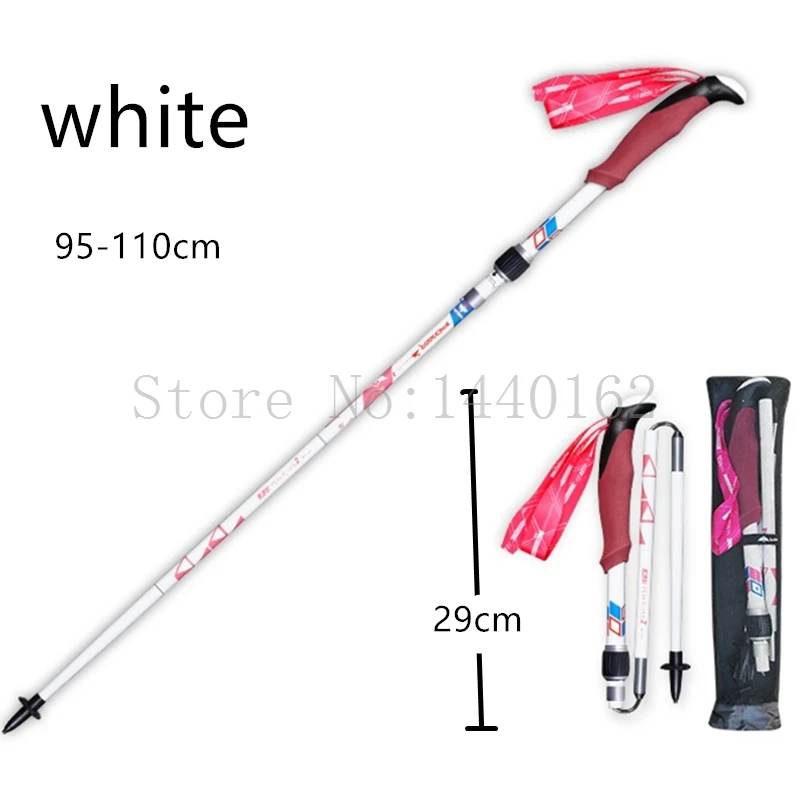 TP063 walking sticks (6)_