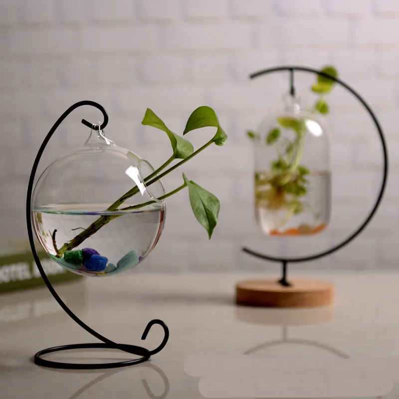 Mini Fish Tank Decoration Micro Landscape Hydroponic Ecological